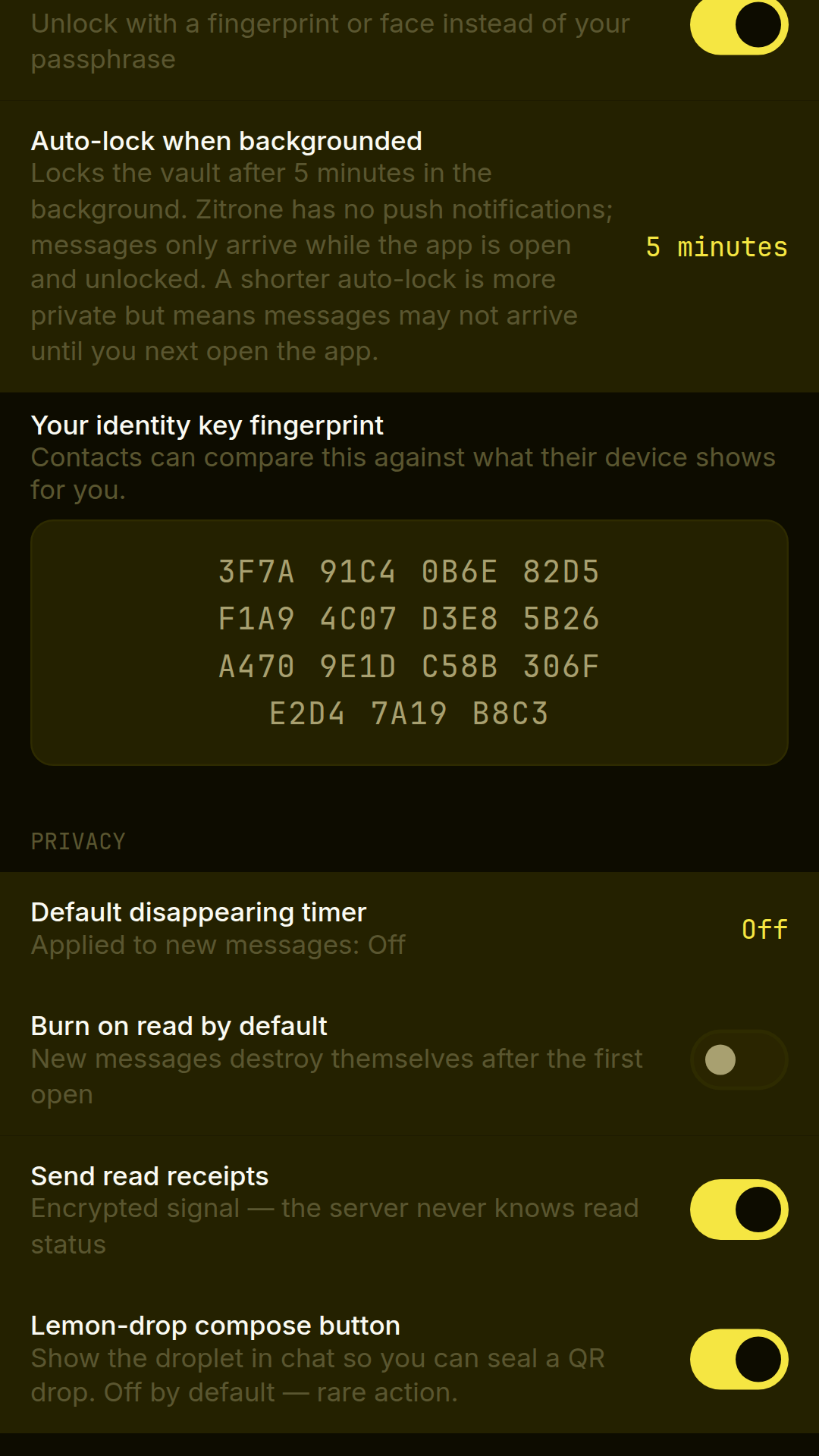 Zitrone privacy settings showing disappearing timer, burn on read, and read receipt controls